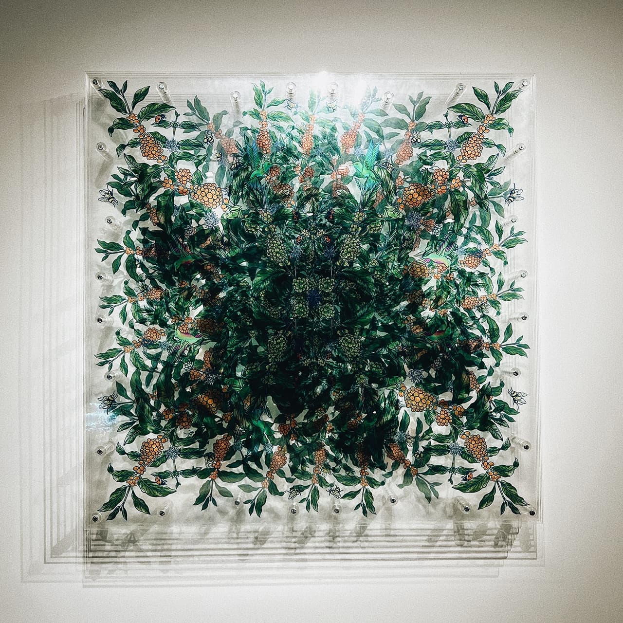 Album image 1