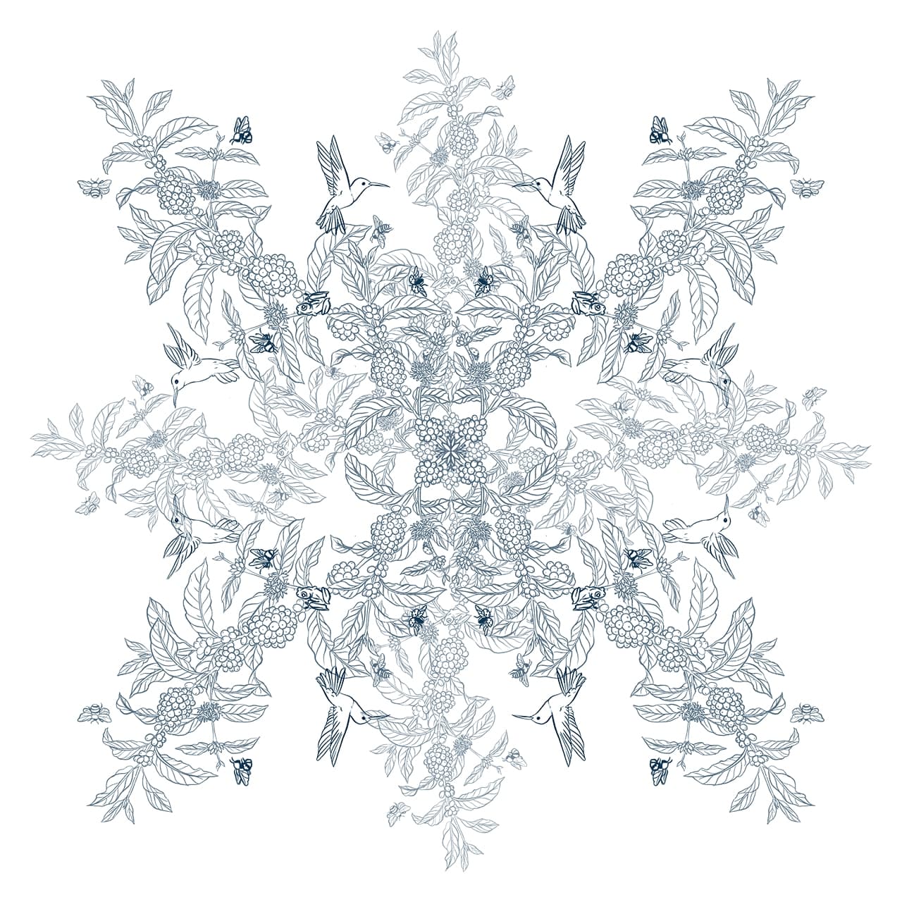 Album image 5