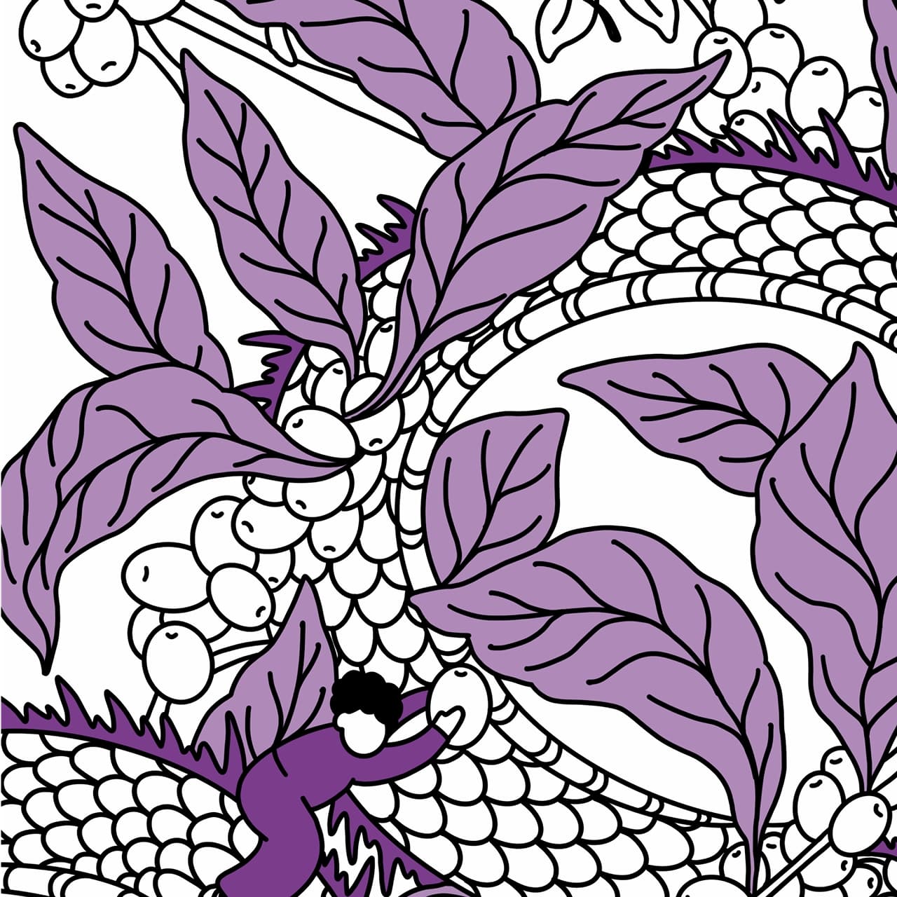 Album image 1