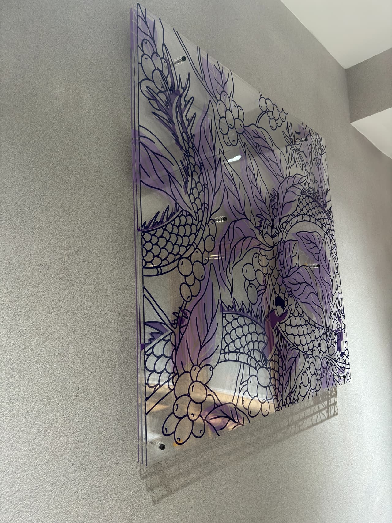 Album image 7
