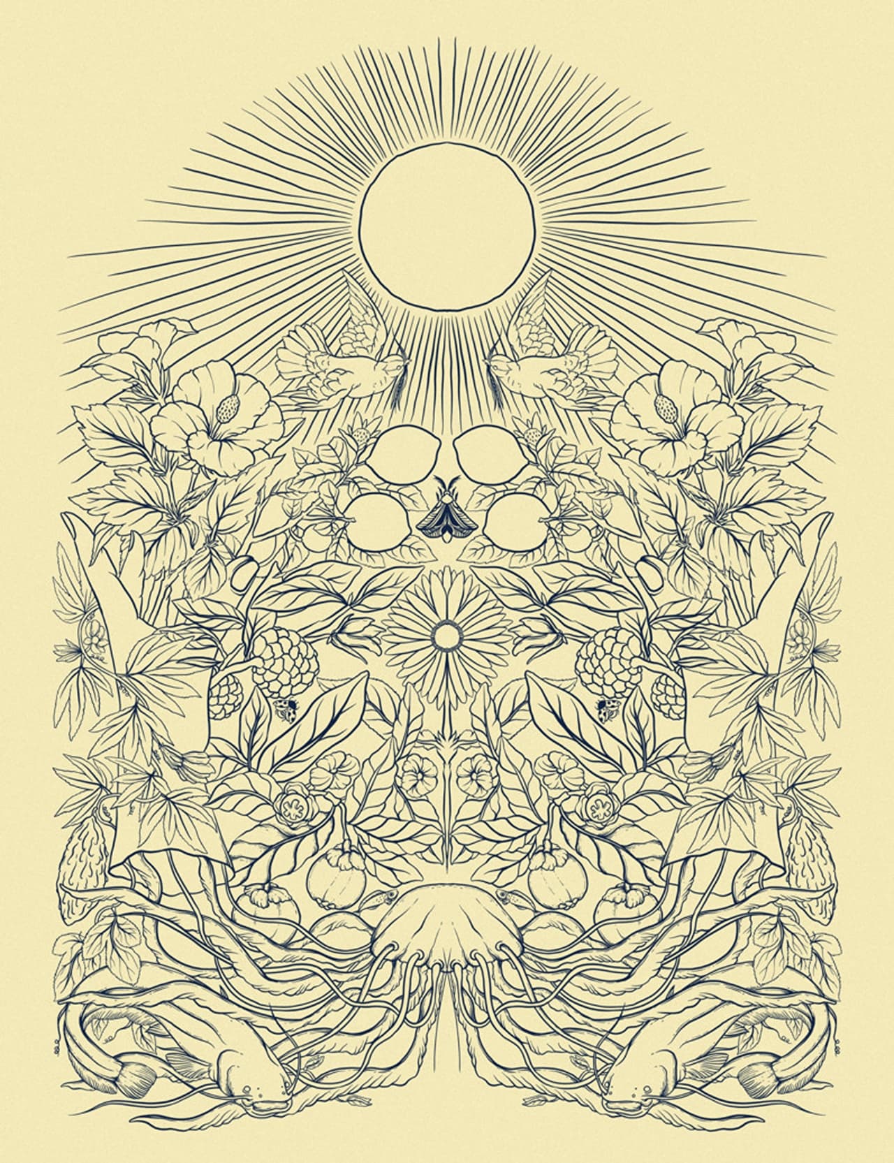 Album image 2