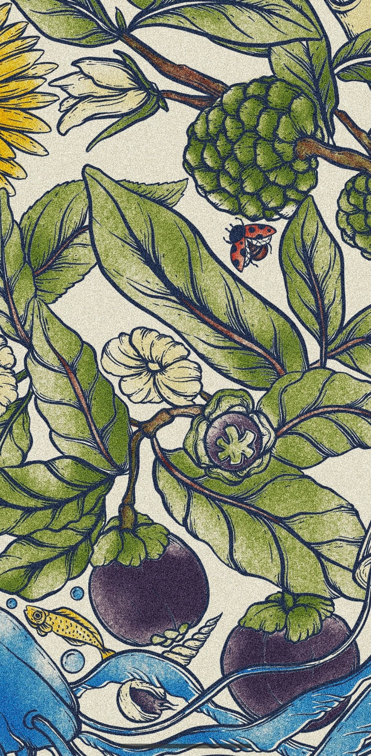 Album image 3