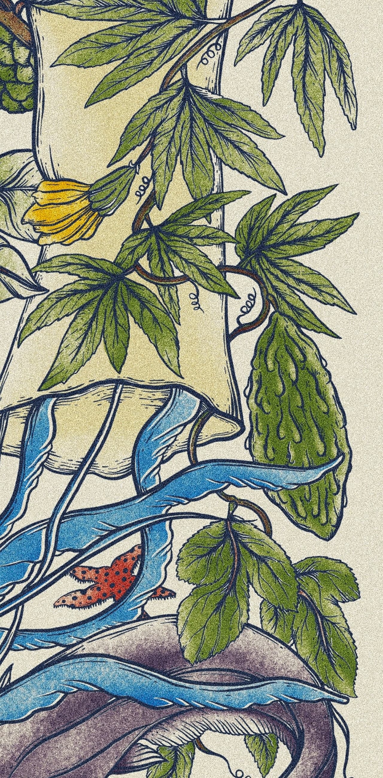 Album image 4