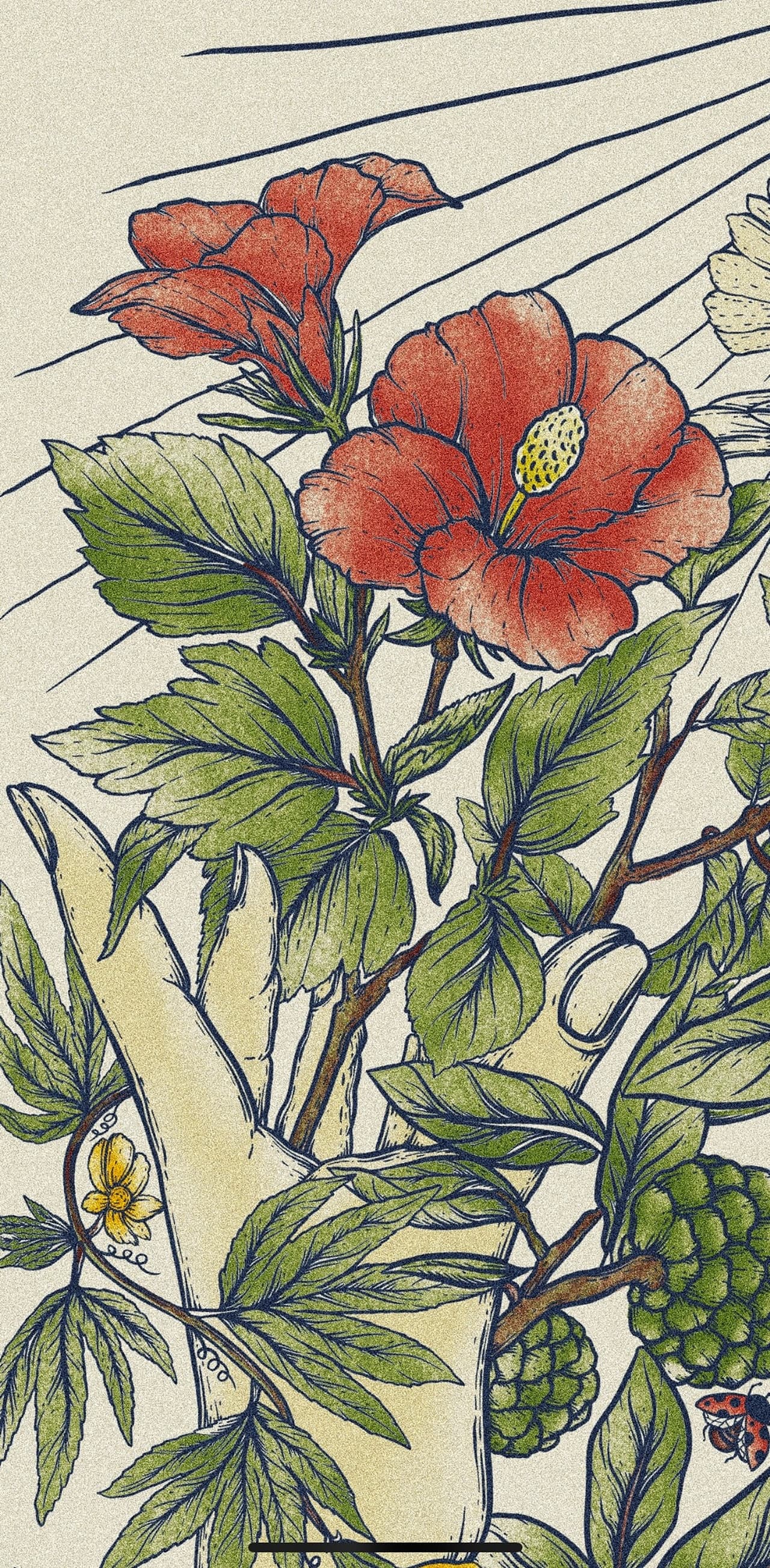 Album image 5