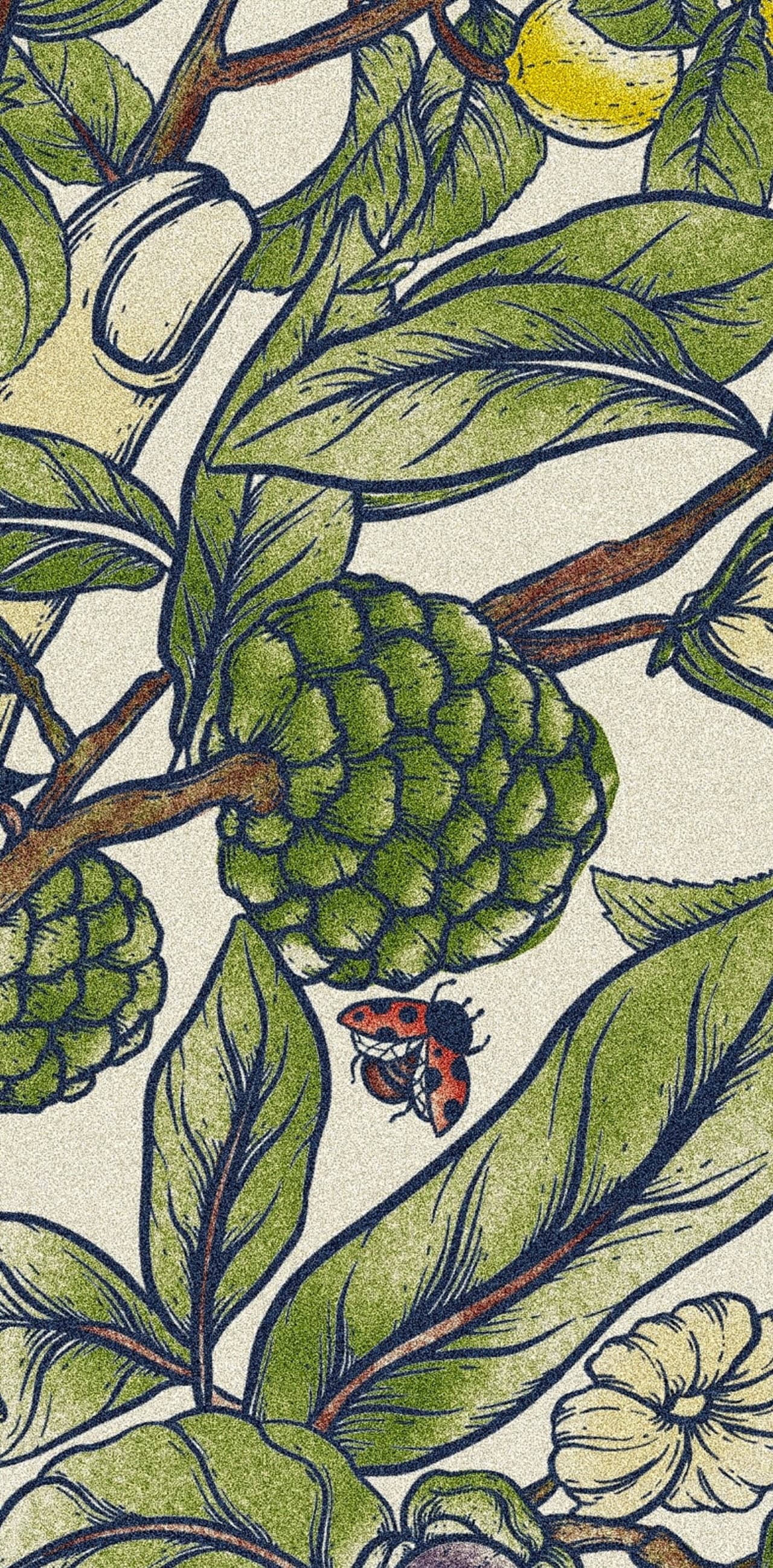 Album image 6