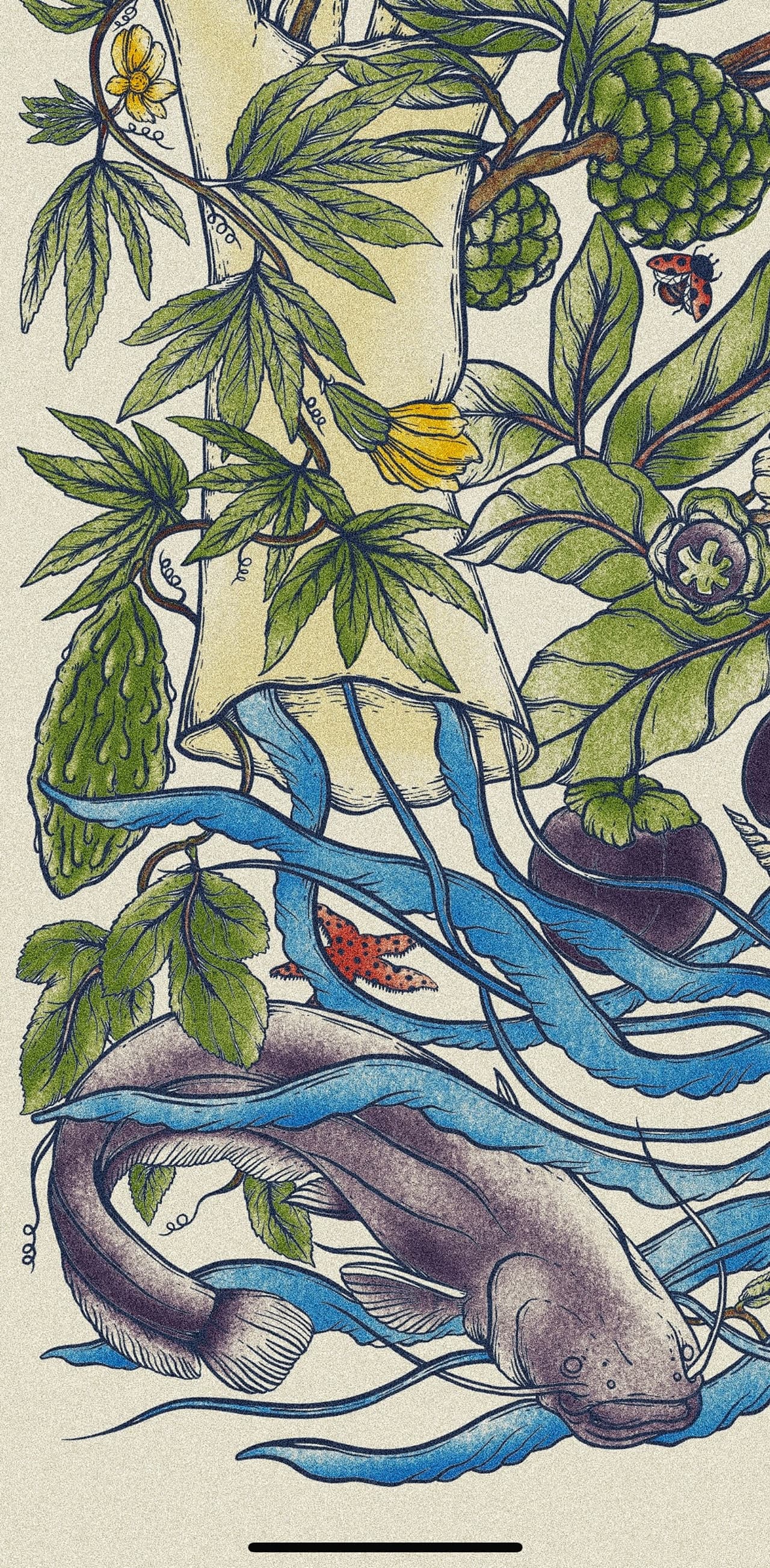 Album image 7